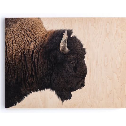 001 SR-809805 | Primary Silo | American Bison by Getty Images by Four Hands. Made from maple box in a rustic style.