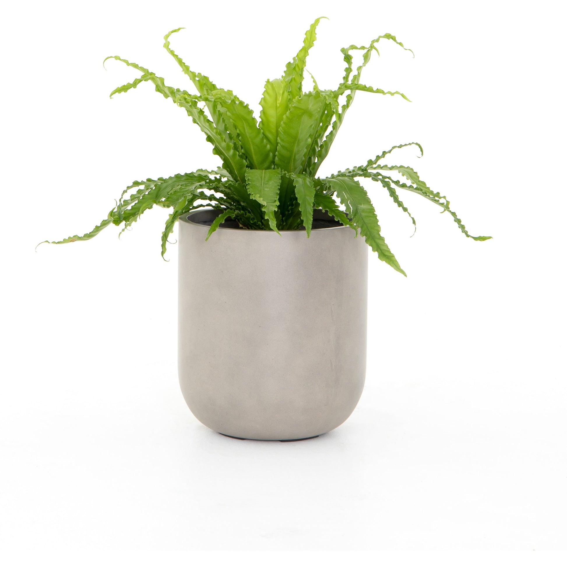 Ivan Round Planter by Four Hands in grey concrete. Made from concrete in a cottage & farmhouse style.