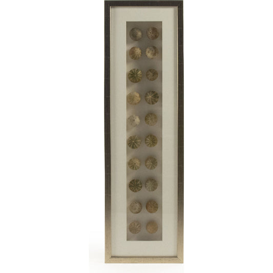 Abstract Gourd Shell Art by Zentique in pastel gourd shells in golden frame and fir wood, glass. Made from pine wood, mdf, glass in a modern style.