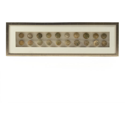 Abstract Gourd Shell Art by Zentique in pastel gourd shells in golden frame and fir wood, glass. Made from pine wood, mdf, glass in a modern style.
