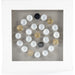 Abstract Framed Shell Art by Zentique in fir wood, glass. Made from mdf, glass in a coastal style.