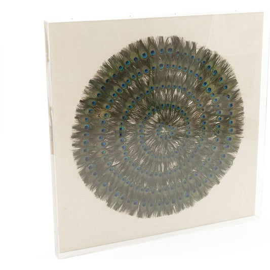 Acrylic Peacock Framed Art by Zentique in peacock feathers on tan background in acrylic frame and peacock feathers, acrylic. Made from acrylic, mdf in a eclectic & global style.