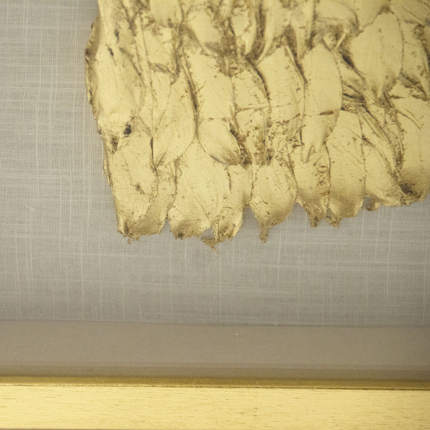 003 S-337271 | Closeup | Golden Wing Frame by Zentique in feathers on linen background in fir wood frame and fir wood, feather, glass. Made from pine wood, glass in a transitional style.