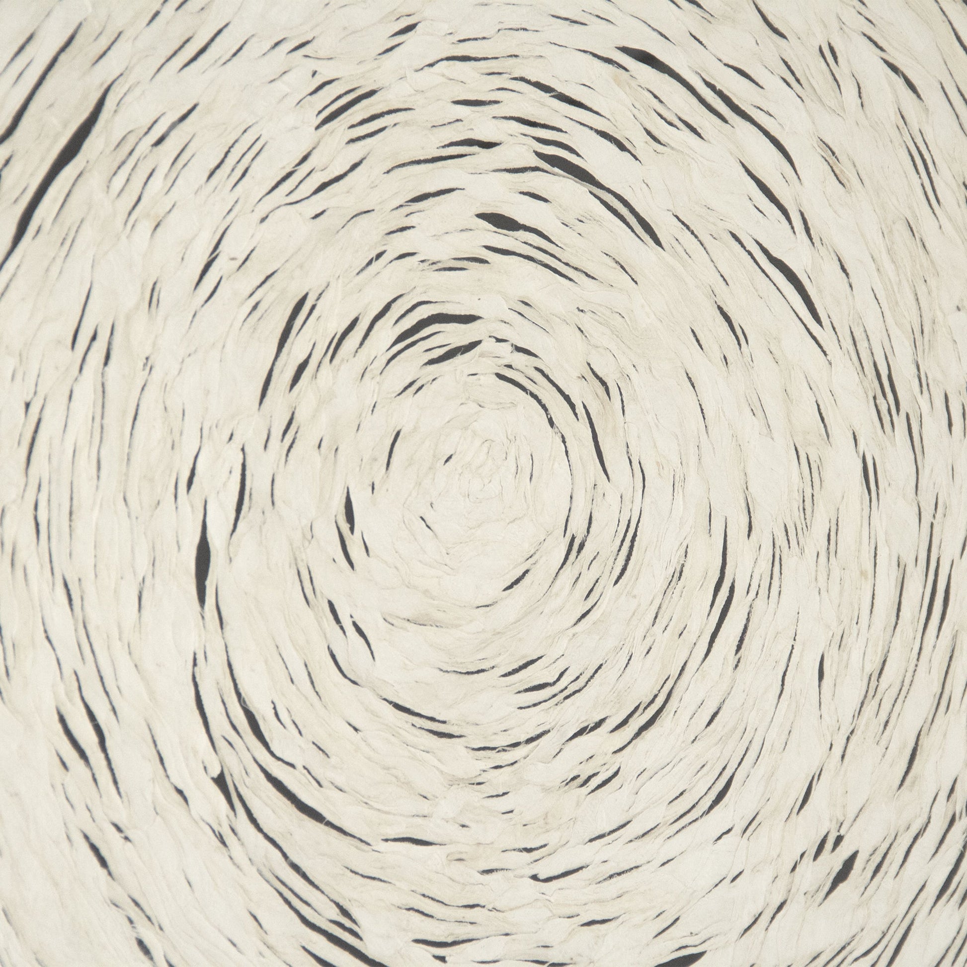 Abstract Spiral Paper Framed Art by Zentique in off-white paper on neutral background and fir wood, glass. Made from mdf, glass in a modern style.