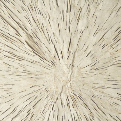 Abstract Burst Paper Framed Art by Zentique in off-white paper on neutral background and fir wood, glass. Made from mdf, glass in a modern style.