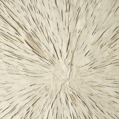 Abstract Burst Paper Framed Art by Zentique in off-white paper on neutral background and fir wood, glass. Made from mdf, glass in a modern style.