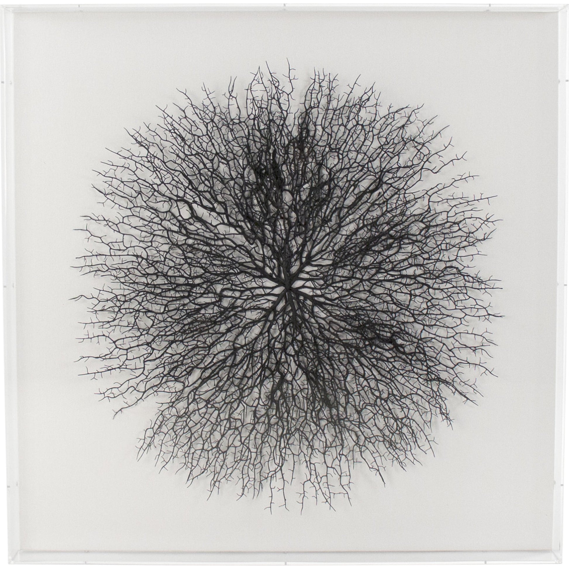 Abstract Branches by Zentique in acrylic. Made from acrylic, mdf in a modern style.