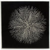 Black Linen