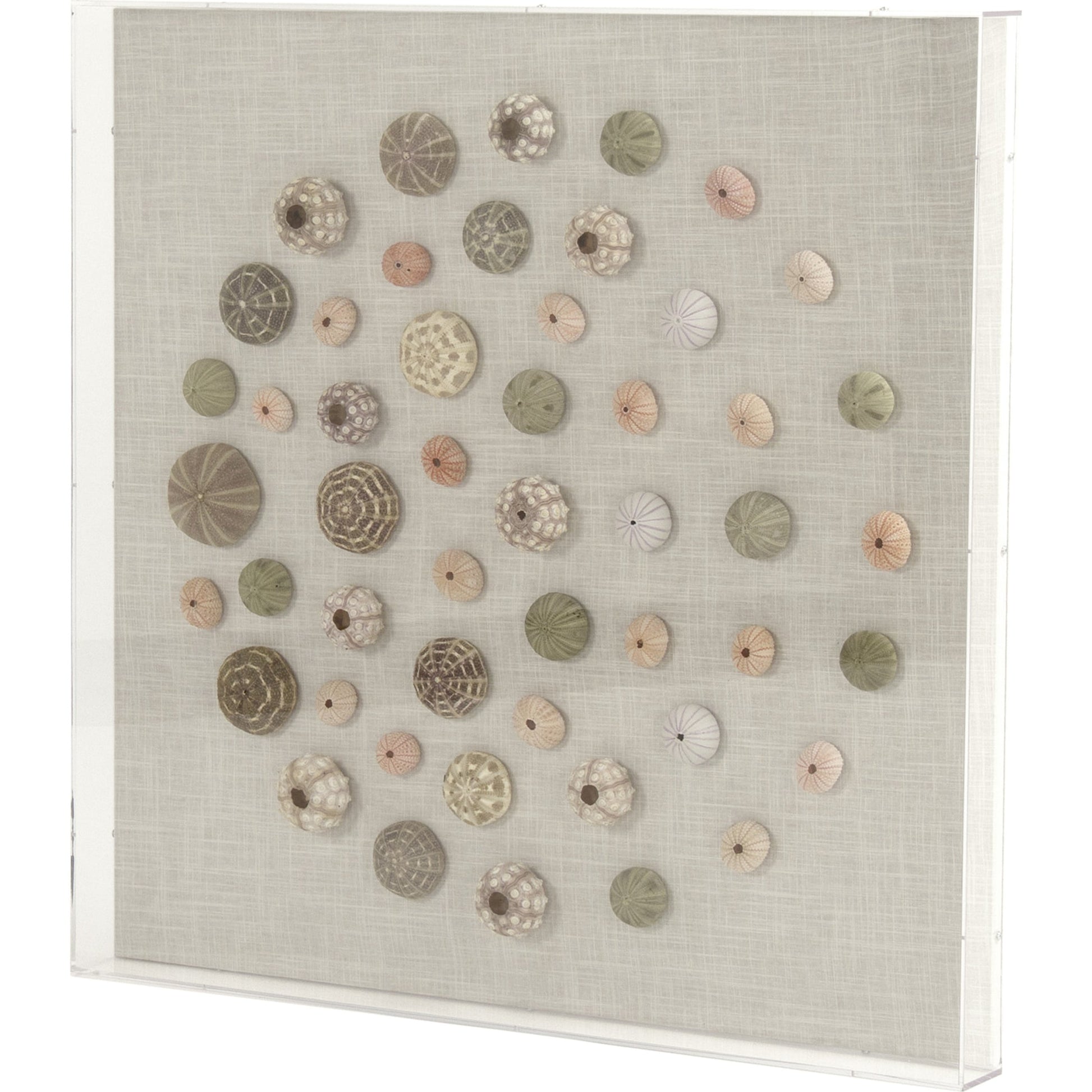 Abstract Shell Wall Art by Zentique. Made from unique in a modern style.
