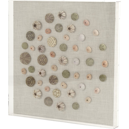 Abstract Shell Wall Art by Zentique. Made from unique in a modern style.
