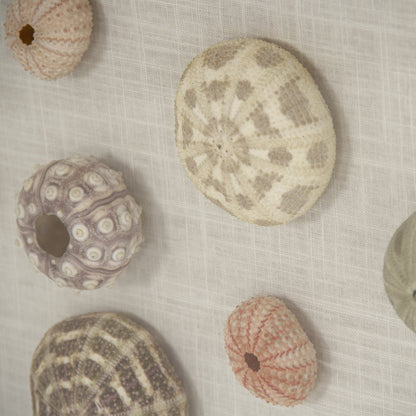 Abstract Shell Wall Art by Zentique. Made from unique in a modern style.
