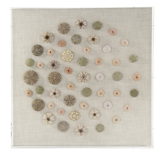 Abstract Shell Wall Art by Zentique. Made from unique in a modern style.