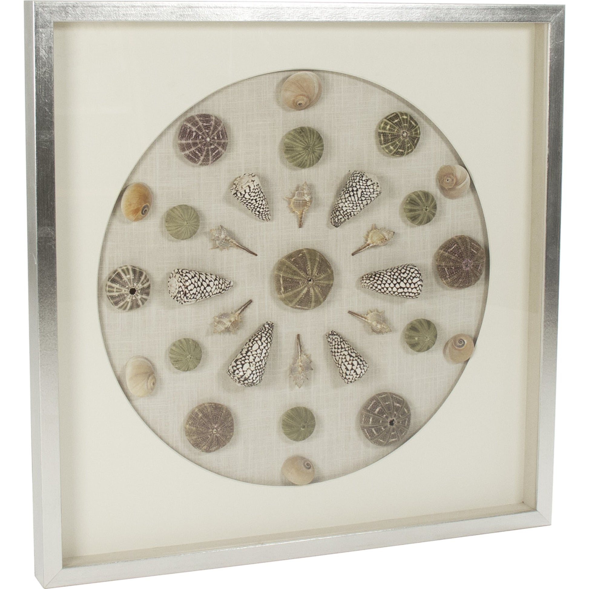 Abstract Shell Wall Art by Zentique. Made from unique in a modern style.