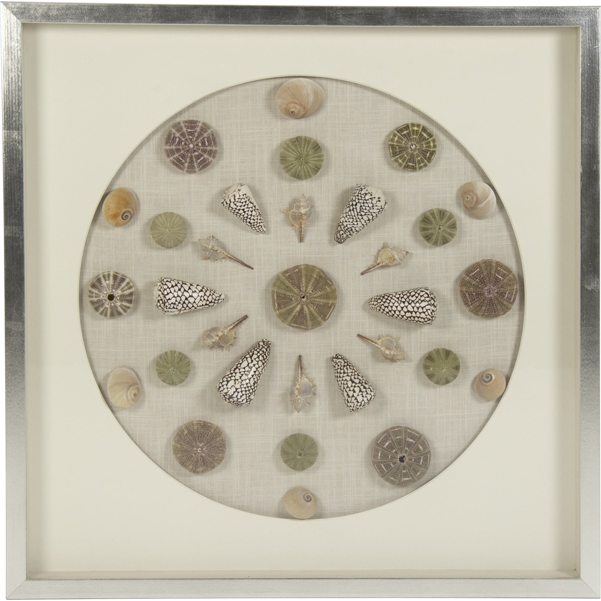 Abstract Shell Wall Art by Zentique. Made from unique in a modern style.