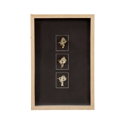 Abstract Shell Wall Art by Zentique. Made from unique in a modern style.