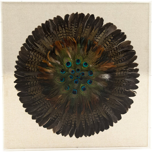 Abstract Feather Acrylic Framed Wall Art by Zentique in natural linen. Made from acrylic, peacock feathers, mdf in a eclectic & global style.