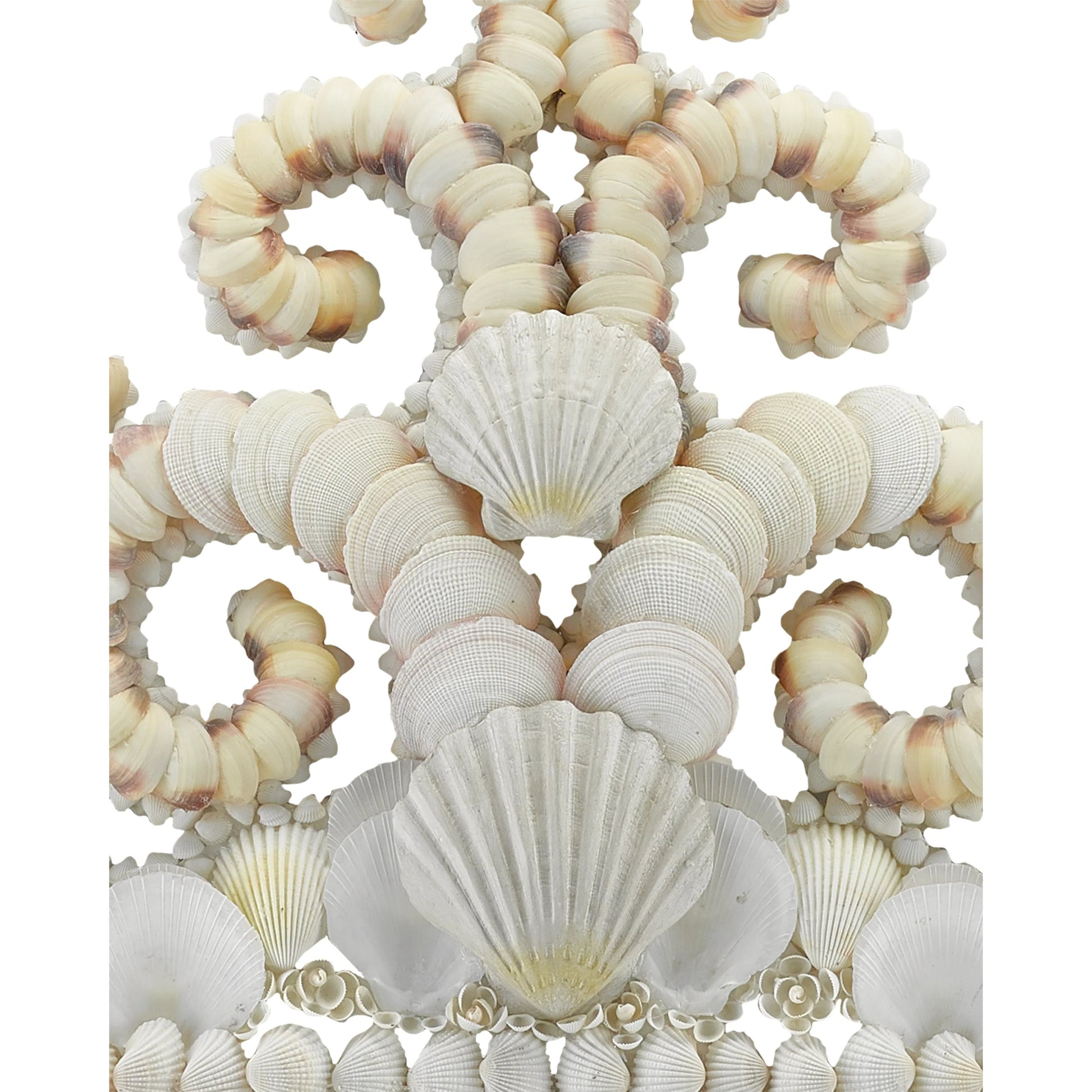 Cecilia Mirror by Currey and Company in white, natural, mirror. Made from shells, wood, mirror in a coastal style.