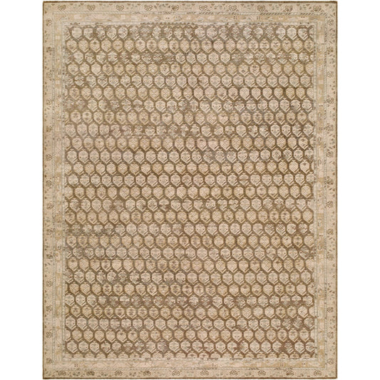 Agra AAA-2304 Rug by Surya in taupe sandstone ivory beige. Made from wool in a unique style.