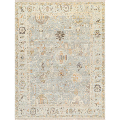 Antalya AAT-2311 Rug by Surya in brown, medium brown, beige. Made from face: 100% wool, warp: 100% cotton in a unique style.