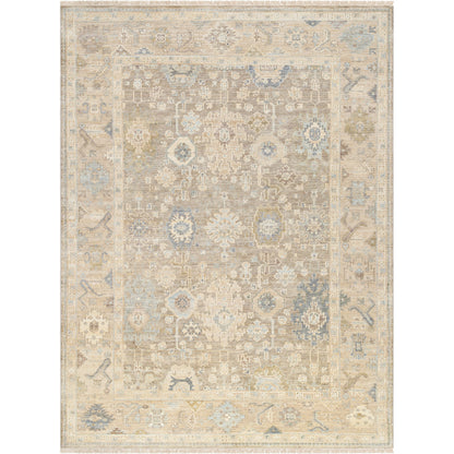 Antalya AAT-2312 Rug by Surya in olive, light brown, taupe. Made from face: 100% wool, warp: 100% cotton in a unique style.