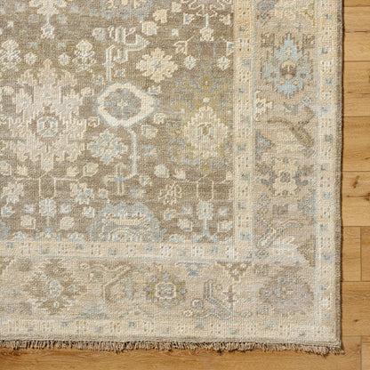 Antalya AAT-2312 Rug by Surya in olive, light brown, taupe. Made from face: 100% wool, warp: 100% cotton in a unique style.