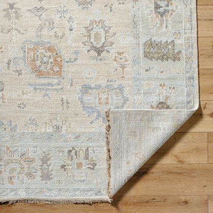 Antalya AAT-2314 Rug by Surya in light brown, dark brown, taupe, beige. Made from face: 100% wool, warp: 100% cotton in a unique style.