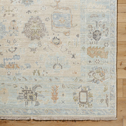 Antalya AAT-2314 Rug by Surya in light brown, dark brown, taupe, beige. Made from face: 100% wool, warp: 100% cotton in a unique style.