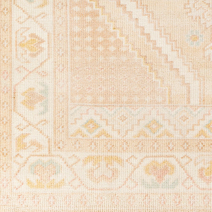 Anadolu Rug - 30383 by Surya in beige, dusty pink, tan, rose, mustard, cream. Made from 70% wool, 30% viscose in a unique style.