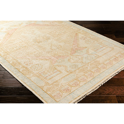 Anadolu Rug - 30385 by Surya in blue, pale pink, light blue, camel, cream. Made from 70% wool, 30% viscose in a unique style.