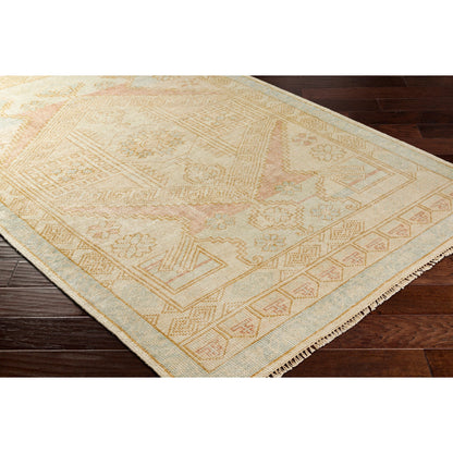 Anadolu Rug - 30385 by Surya in blue, pale pink, light blue, camel, cream. Made from 70% wool, 30% viscose in a unique style.