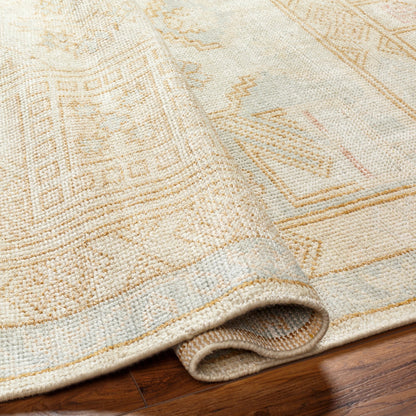 Anadolu Rug - 30385 by Surya in blue, pale pink, light blue, camel, cream. Made from 70% wool, 30% viscose in a unique style.