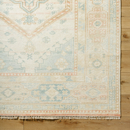 Anadolu Rug - 30387 by Surya in seafoam, beige, rose, tan. Made from 70% wool, 30% viscose in a unique style.