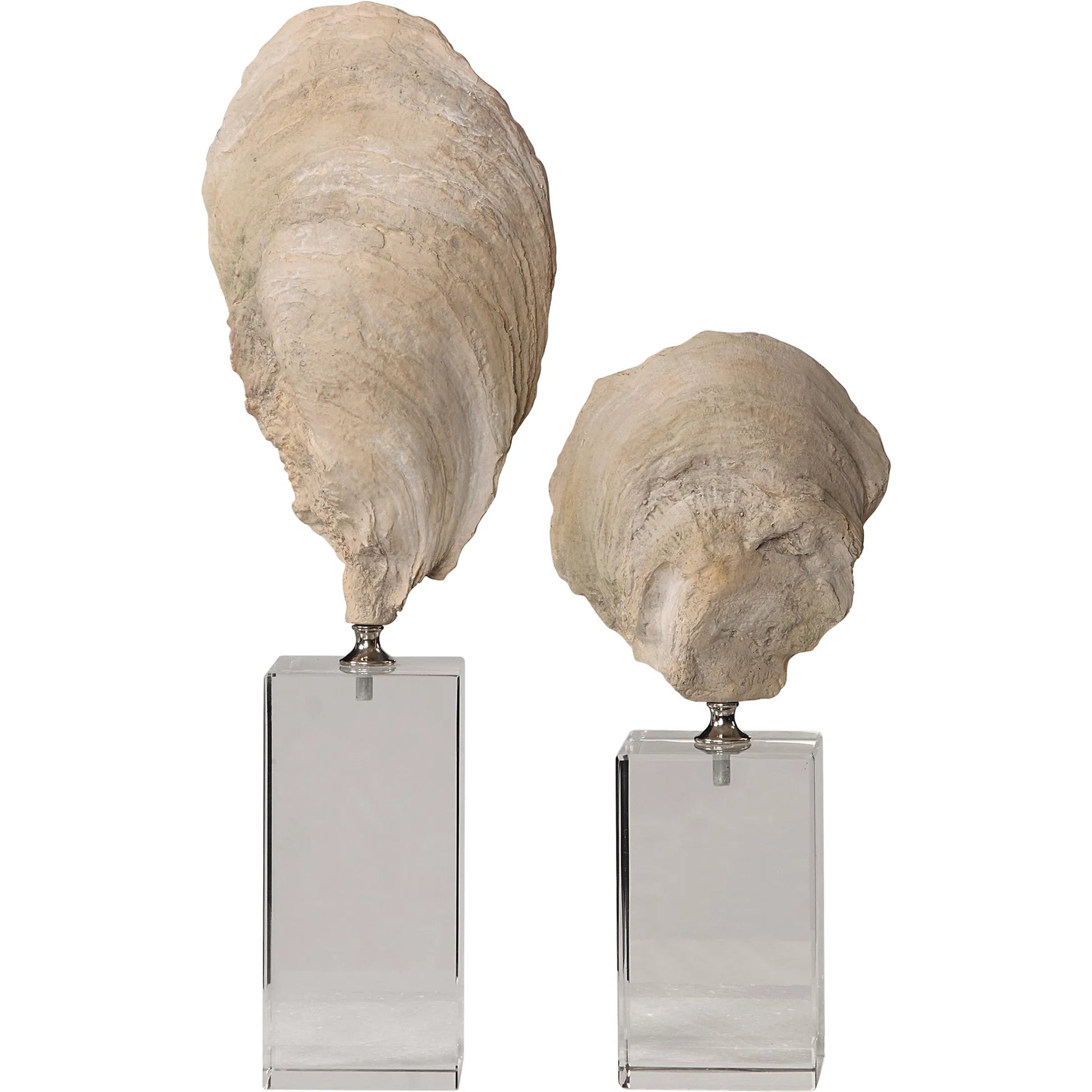Oyster Shell Sculptures by Uttermost. Made from resin, crystal, stainless steel in a coastal style.