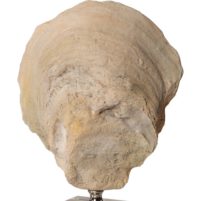 Oyster Shell Sculptures by Uttermost. Made from resin, crystal, stainless steel in a coastal style.