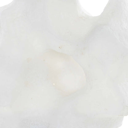 Remnant Sculptures by Uttermost in white. Made from man-made stone, crystal in a modern style.
