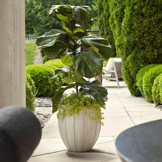 Ridgehaven Textured Outdoor Planter by Uttermost in cream. Made from magnesium oxide in a unique style.