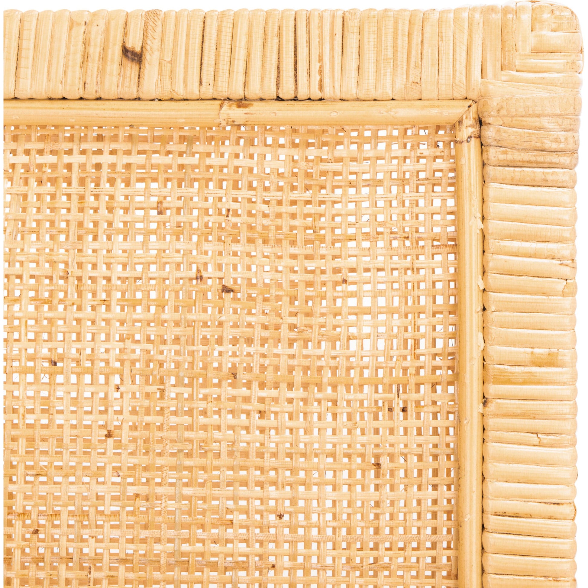 Albany Accent Chair with Cushion by HedgeApple Essentials. Made from mango wood in a modern style.