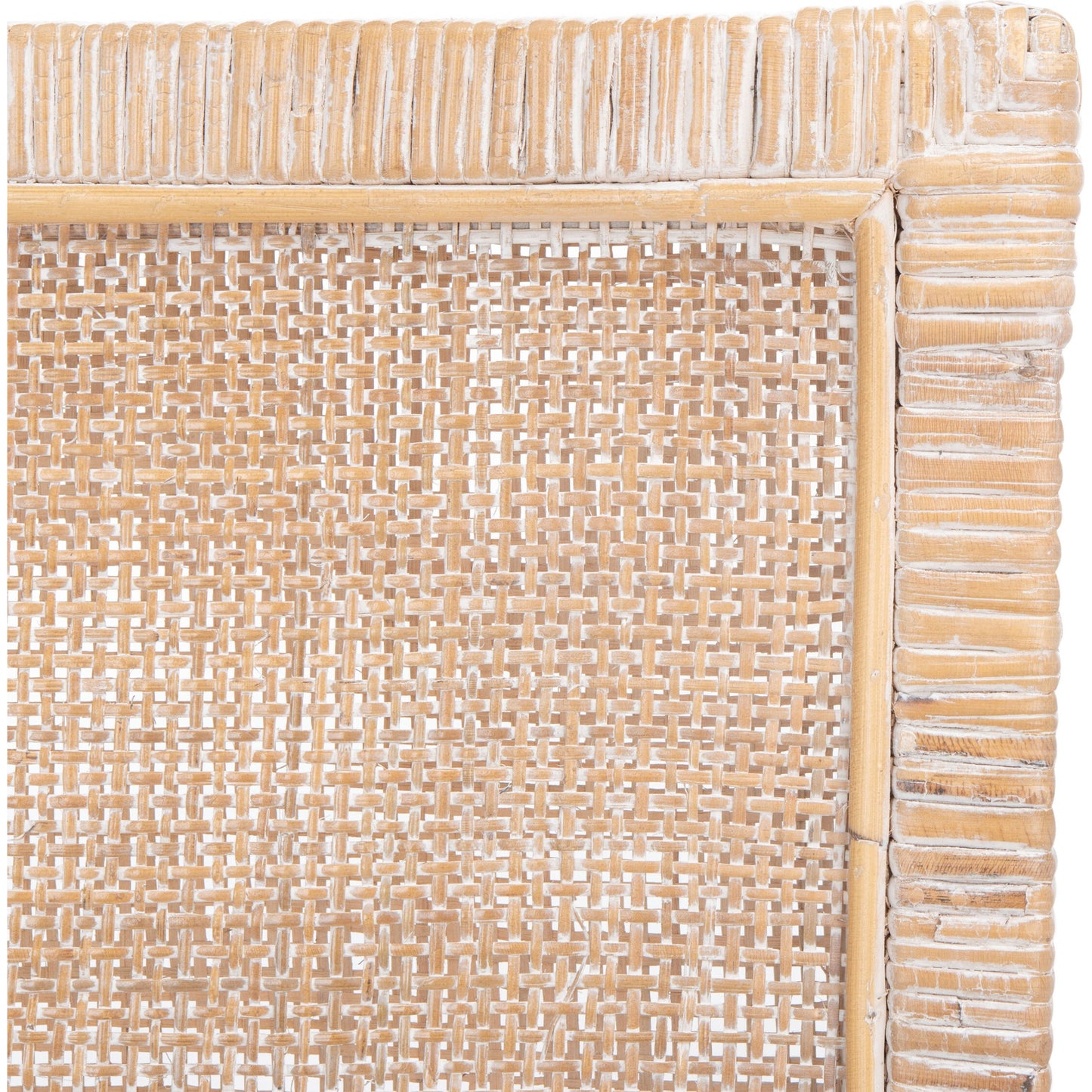 012 SI-1769918 | Closeup | Albany Accent Chair with Cushion by HedgeApple Essentials. Made from mango wood in a modern style.