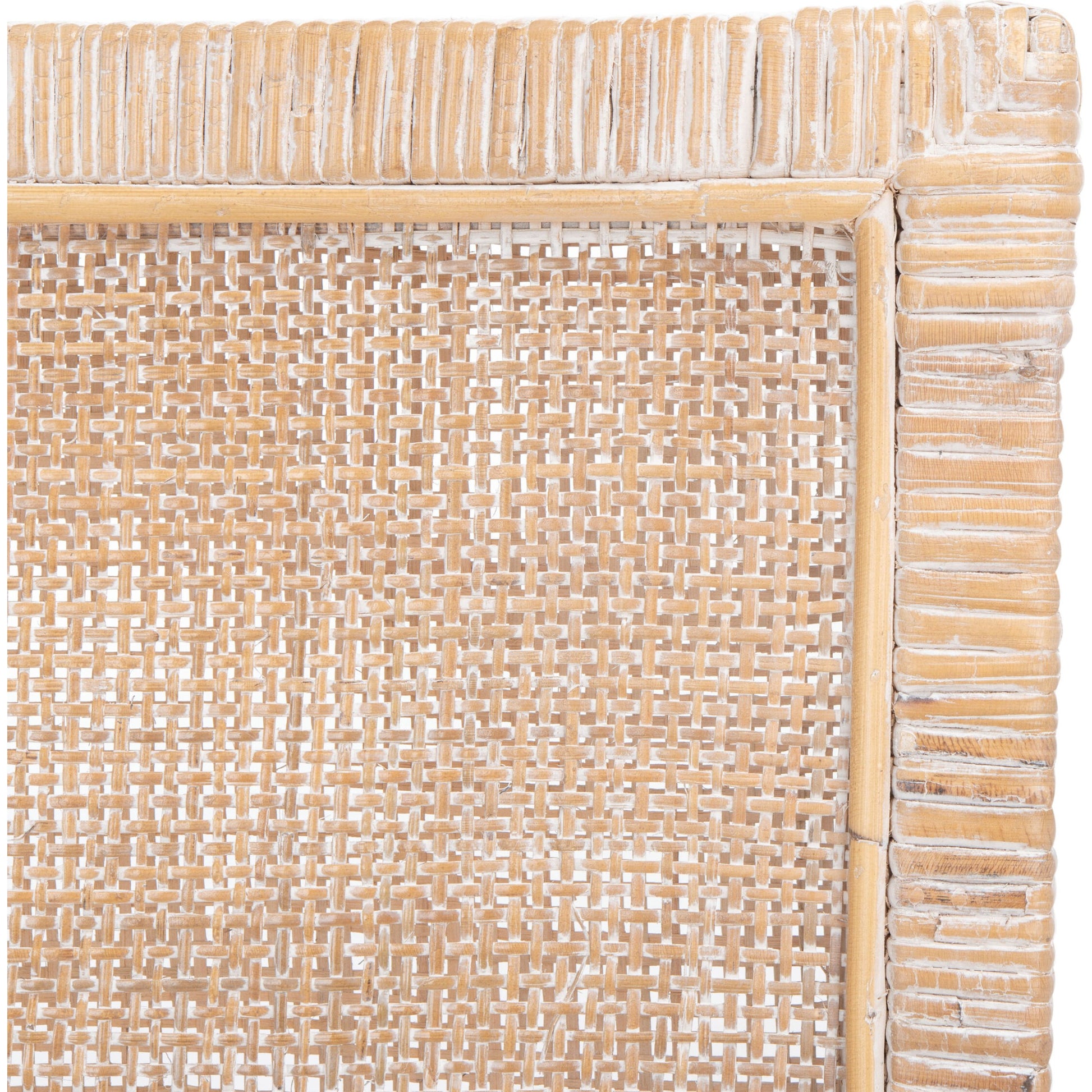 Albany Accent Chair with Cushion by HedgeApple Essentials. Made from mango wood in a modern style.