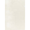 Beige / 2' x 3'