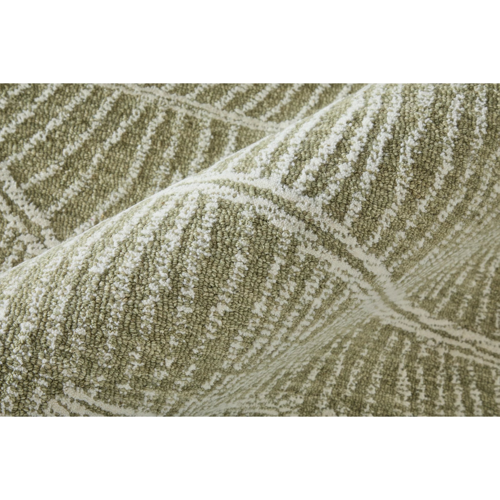 Winston & Botanical WNS8B02F Rug by Feizy. Made from wool in a unique style.
