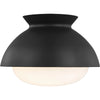 Midnight Black