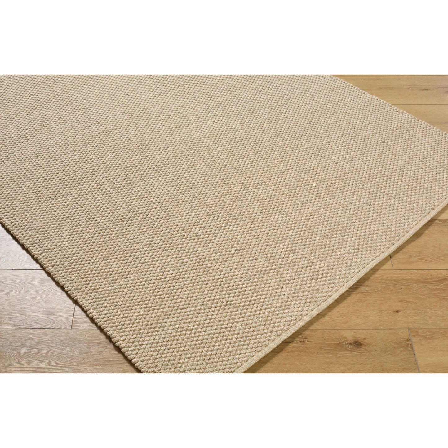 006 SI-2349398,SI-2349399,SI-2349400,SI-2349401,SI-2349403 | Closeup | Ahlat AHT-2305 Rug by Livabliss in beige, ivory. Made from jute, cotton in a unique style.