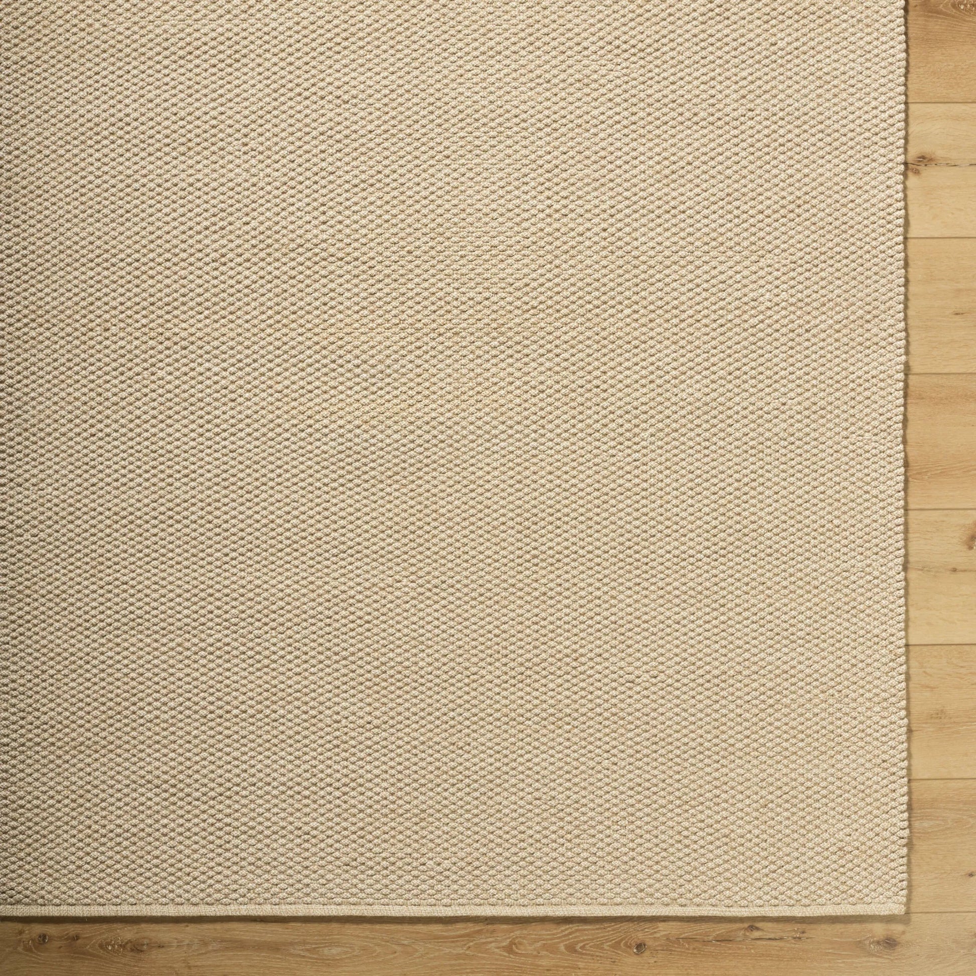 Ahlat AHT-2305 Rug by Livabliss in beige, ivory. Made from jute, cotton in a unique style.