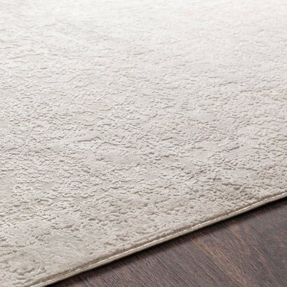 Aisha Rug by Livabliss in light gray, off-white. Made from 70% viscose, 30% polyester in a traditional style.