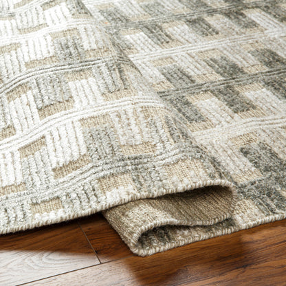 Amina AMA-2302 Rug by Surya in light sage, light slate, taupe, light beige. Made from main: 65% wool, main: 35% viscose in a unique style.