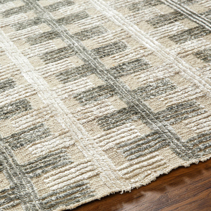 Amina AMA-2302 Rug by Surya in light sage, light slate, taupe, light beige. Made from main: 65% wool, main: 35% viscose in a unique style.