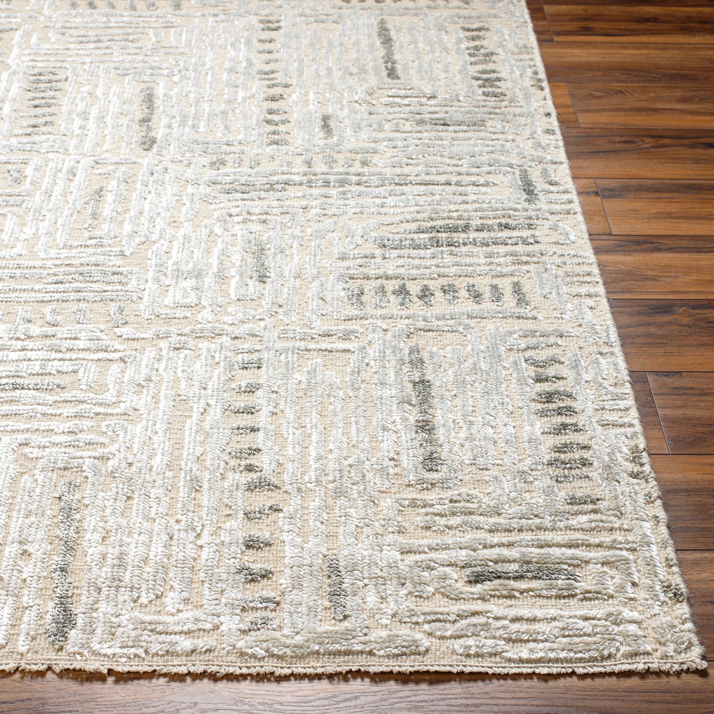 003 SI-1915934,SI-1915935,SI-1915936,SI-1915937 | Closeup | Amina AMA-2303 Rug by Surya in beige, light sage. Made from main: 65% wool, main: 35% viscose in a unique style.