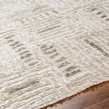 Amina AMA-2303 Rug by Surya in beige, light sage. Made from main: 65% wool, main: 35% viscose in a unique style.