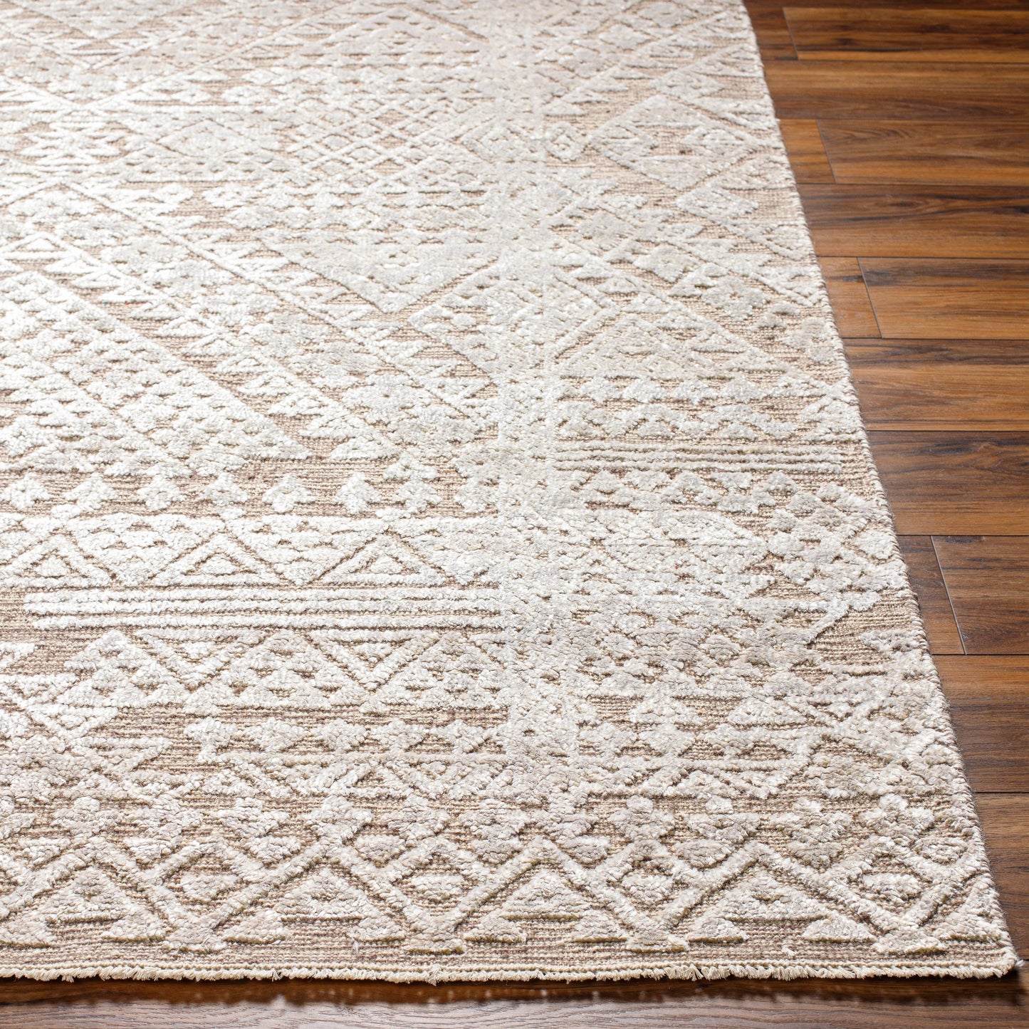 003 SI-1915938,SI-1915939,SI-1915940,SI-1915941 | Closeup | Amina AMA-2304 Rug by Surya in beige, light sage. Made from main: 65% wool, main: 35% viscose in a unique style.